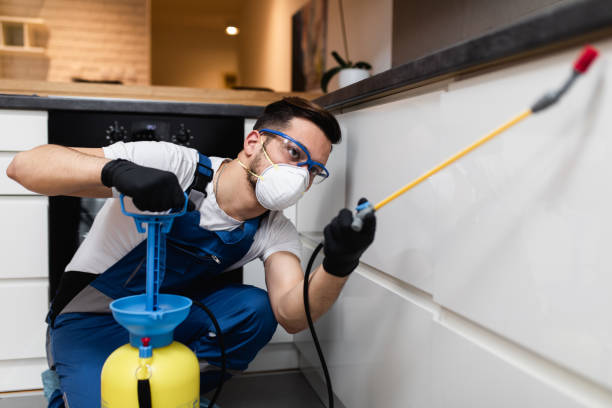Best Pest Removal Services  in Leachville, AR