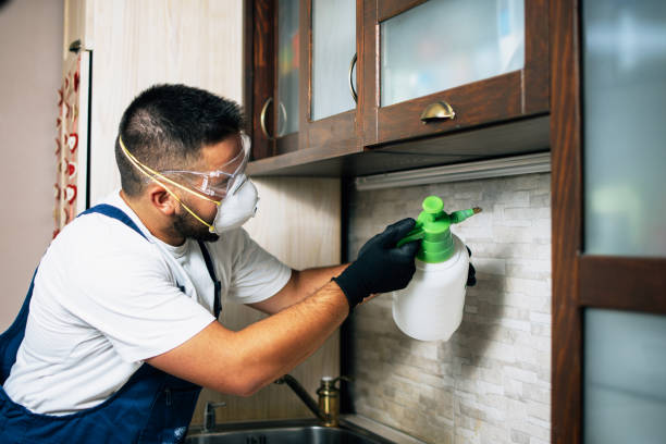 Best Pest Control Near Me  in Leachville, AR