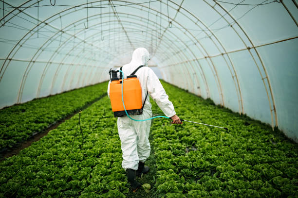Pest Control for Restaurants in Leachville, AR