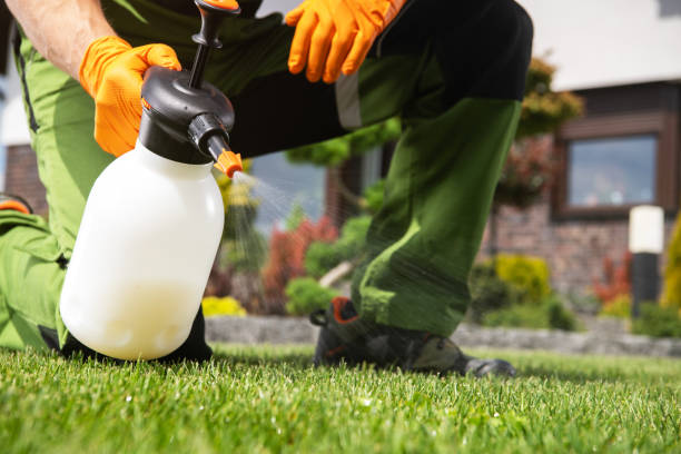 Best Termite Control Services  in Leachville, AR