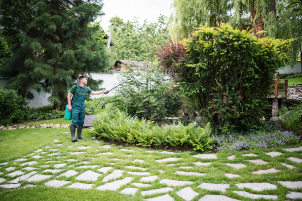 Best Mosquito Control Services  in Leachville, AR