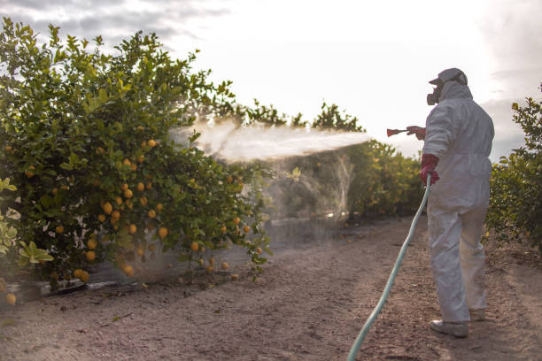 Flea Control Services in Leachville, AR