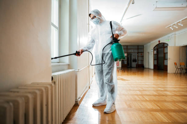 Best Affordable Pest Control Services  in Leachville, AR