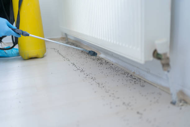 Best Exterminator Services  in Leachville, AR