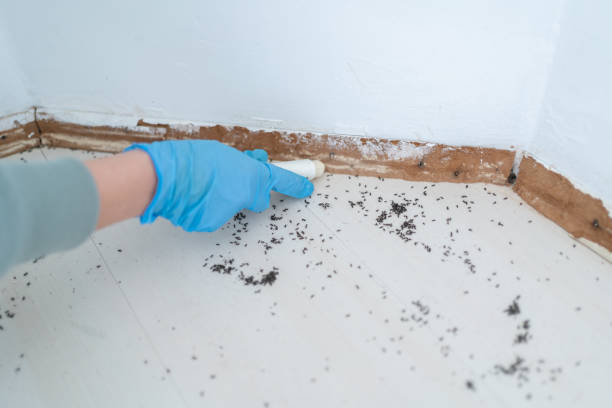 Best Commercial Pest Control Services  in Leachville, AR